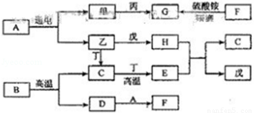 碳水化合物结合模块，理解其在生物化学中的重要性与应用