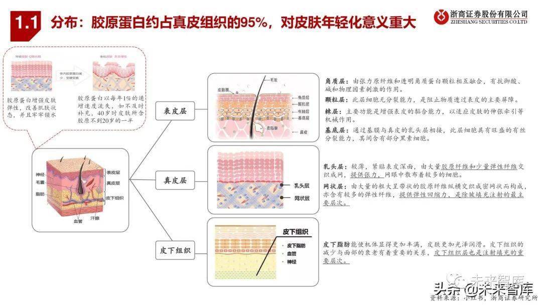 动物胶的作用