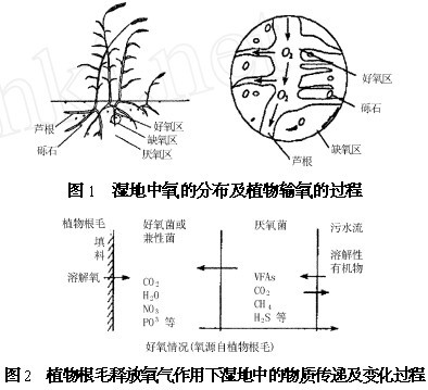 气门节是起什么作用